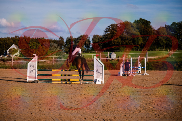 2026_10_03_Siefer-Hof_171027_Z81_07167855 | Professionelle Reitsport-, Turnier- und Eventfotografie von Robert Broda. Galerien mit ausgewählten und bearbeiteten Bildern direkt online ansehen und bestellen.