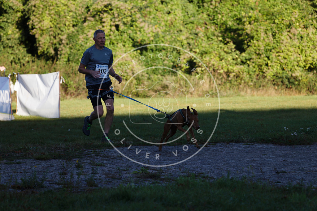 0L8A4681 | Hundefotografie, Tierfotograf, Pfotenfotografie, Fotoshooting Hund, Hunde Portrait, Hundesport, Hundeportraits, Heideshooting, Hunde, Sportfotograf, Hundefotograf, Turnierhundsport, THS,  - Realisiert mit Pictrs.com