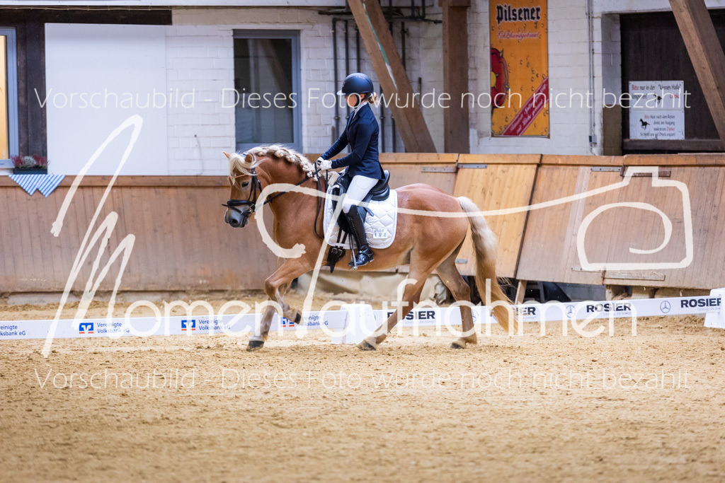 Sth-A-Dre-2St-027 | MomenTaufnahmen Pferdesportfotos