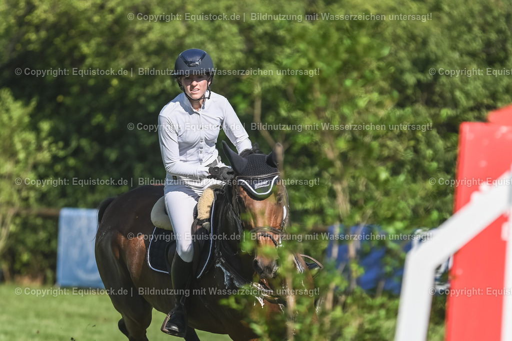 20230908_24_Springen_M_0012 | equistock