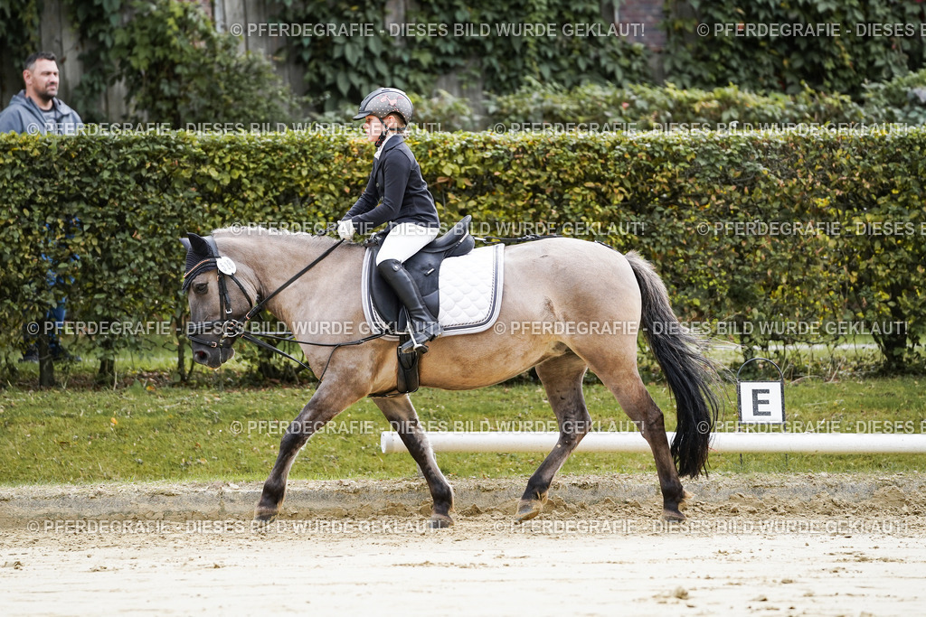 DSC05141 | Pferdegrafie