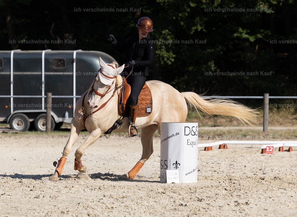 WS_SPEED_65_KerstinBernhardt-10 | working equitationturnier fotograf videograf stoibphotography marixx film working equitation deutschland reitsport turnierfotografie eventfotografie equestrian events