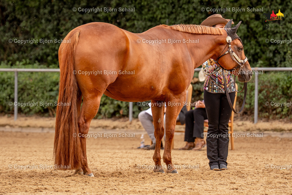 LMS06747 | BS-foto
