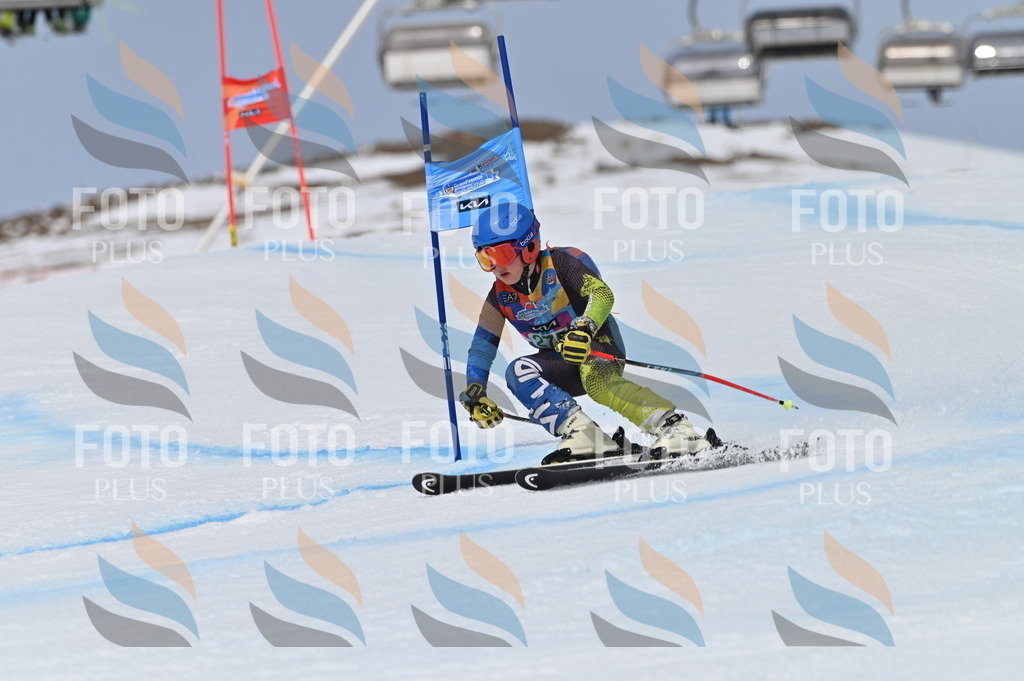 BGV_5464 | holidayphoto