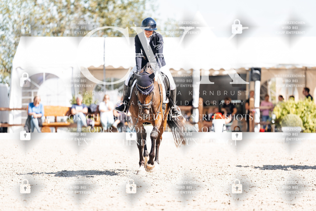 CK903996 | Turnierfotografie Pferdefotografie Trier Rheinland-Pfalz Pferdesport Reitsport Tierfotografie Sportfotografie Pferdevideo Pferdevideografie Equestrianvideography equestrianphotography  - Realisiert mit Pictrs.com