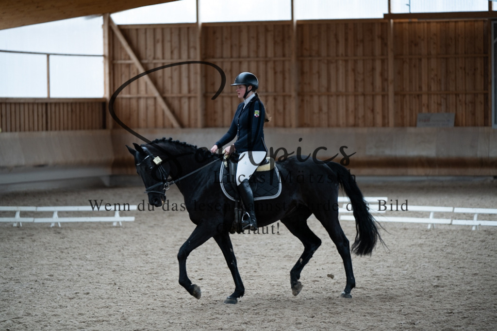 A7V09780 | Pferdefotograf