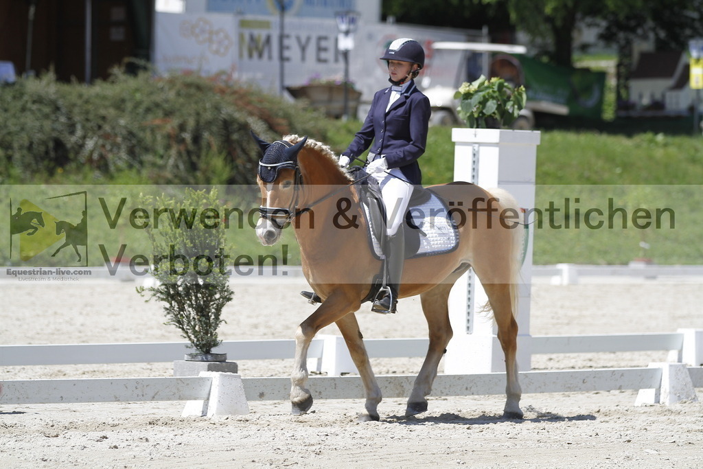_MG_5186 | equestrian-live-com