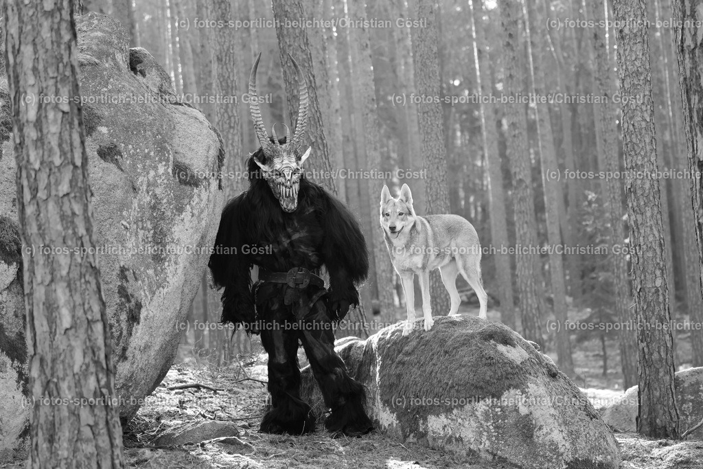 2X5A3188 | fotos-sportlich-belichtet - Realisiert mit Pictrs.com