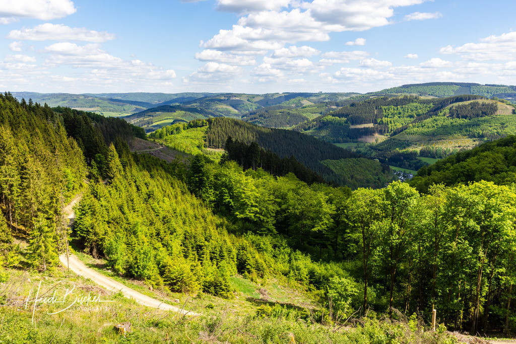 Aussicht vom Auergang | Aussicht vom Auergang zwischen Schmallenberg und Lennestadt - Realisiert mit Pictrs.com
