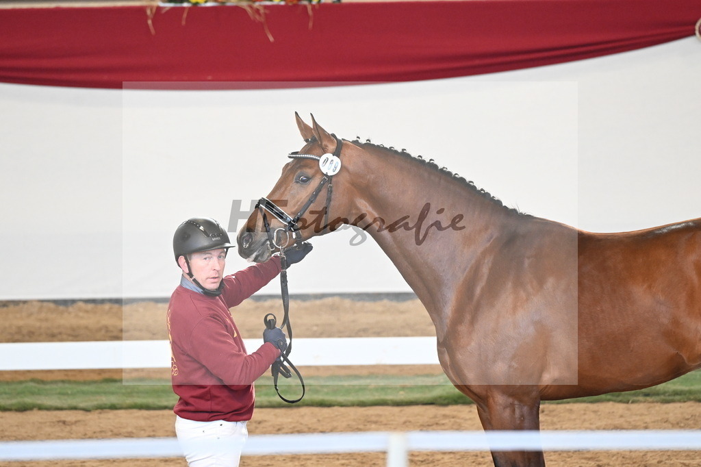 Kat.-Nr. 89 v. Zackerey_Ramsbrock_3261327 | hf-fotografie - Realisiert mit Pictrs.com