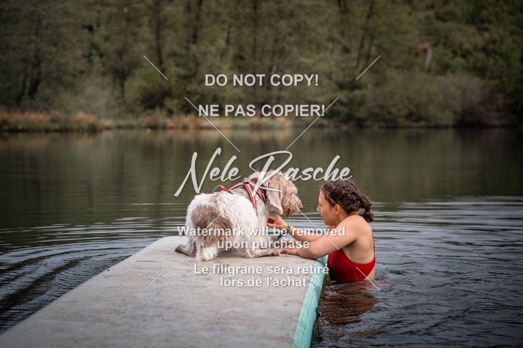 nelerasche_SoUnterwegs_133 | nelerasche