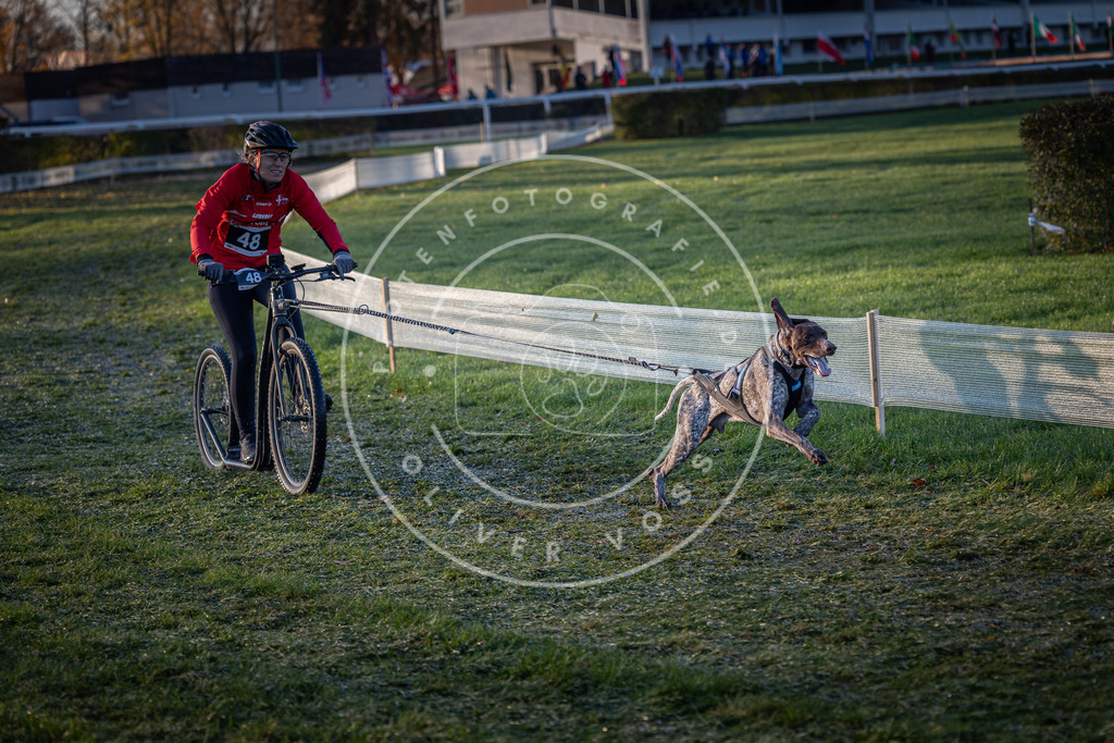 CaniXpix_0L8A2167 | Hundefotografie, Tierfotograf, Pfotenfotografie, Fotoshooting Hund, Hunde Portrait, Hundesport, Hundeportraits, Heideshooting, Hunde, Sportfotograf, Hundefotograf, Turnierhundsport, THS,  - Realisiert mit Pictrs.com