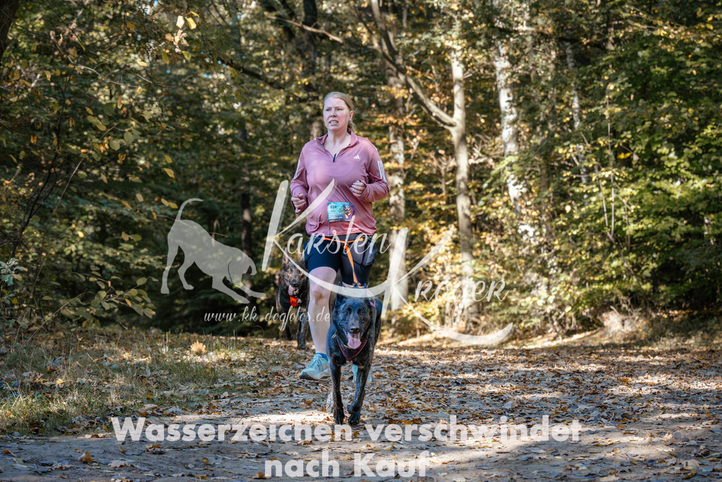 1200_ZZ93952 | kk-dogfotos