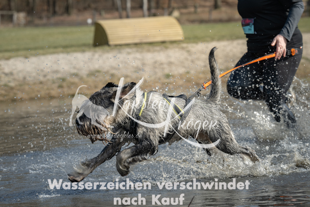 1234_ZZ90629 | kk-dogfotos
