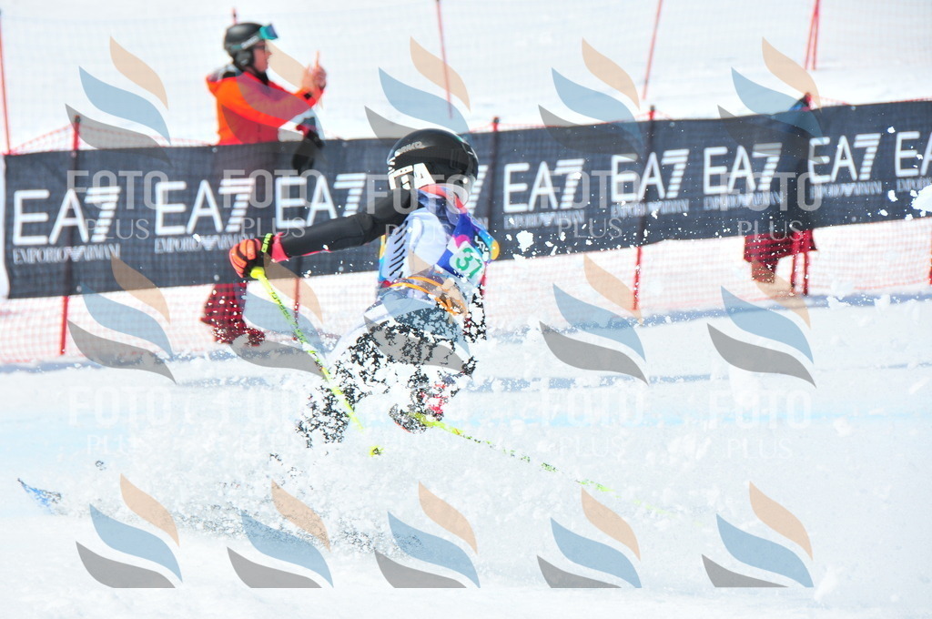 DSC_3332 | holidayphoto