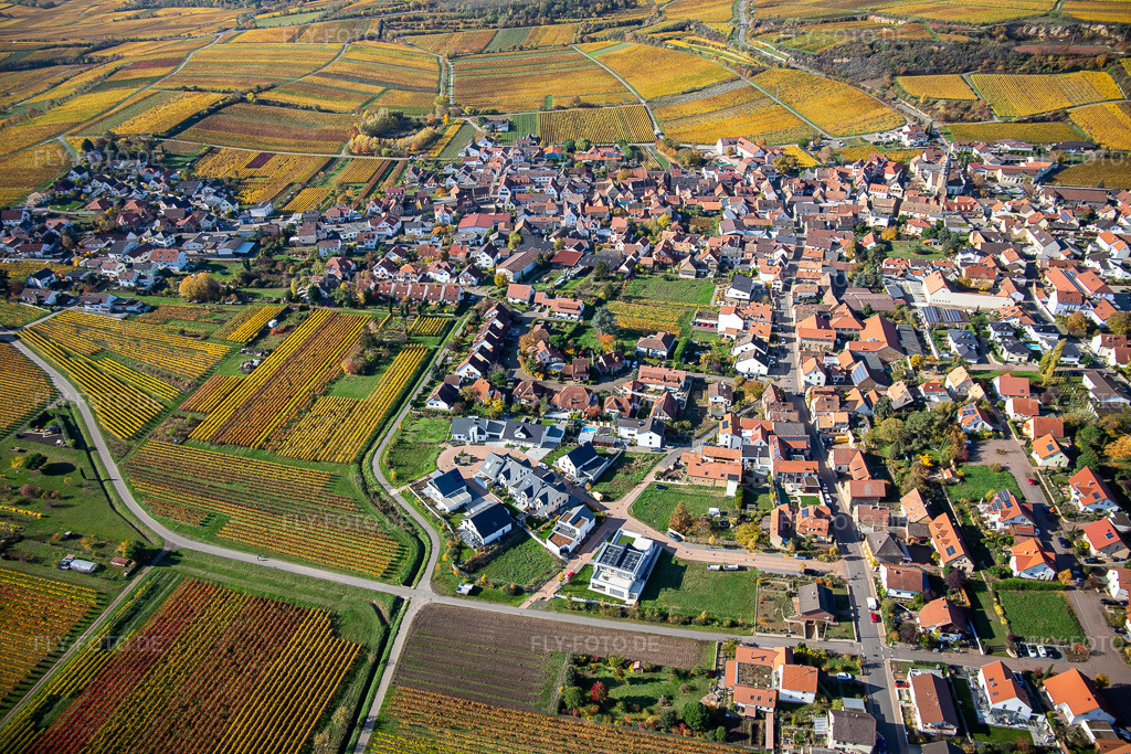 Luftbild: Herbstliche verfärbte Vegetationsansicht der Weinberge um das Winzerdorf in Kallstadt im Ortsteil Ungstein in Bad Dürkheim im Bundesland Rheinland-Pfalz in Deutschland. Foto: IMG_123684.jpg vom 31.10.2020 durch Werner Riehm/FLY-FOTO.de