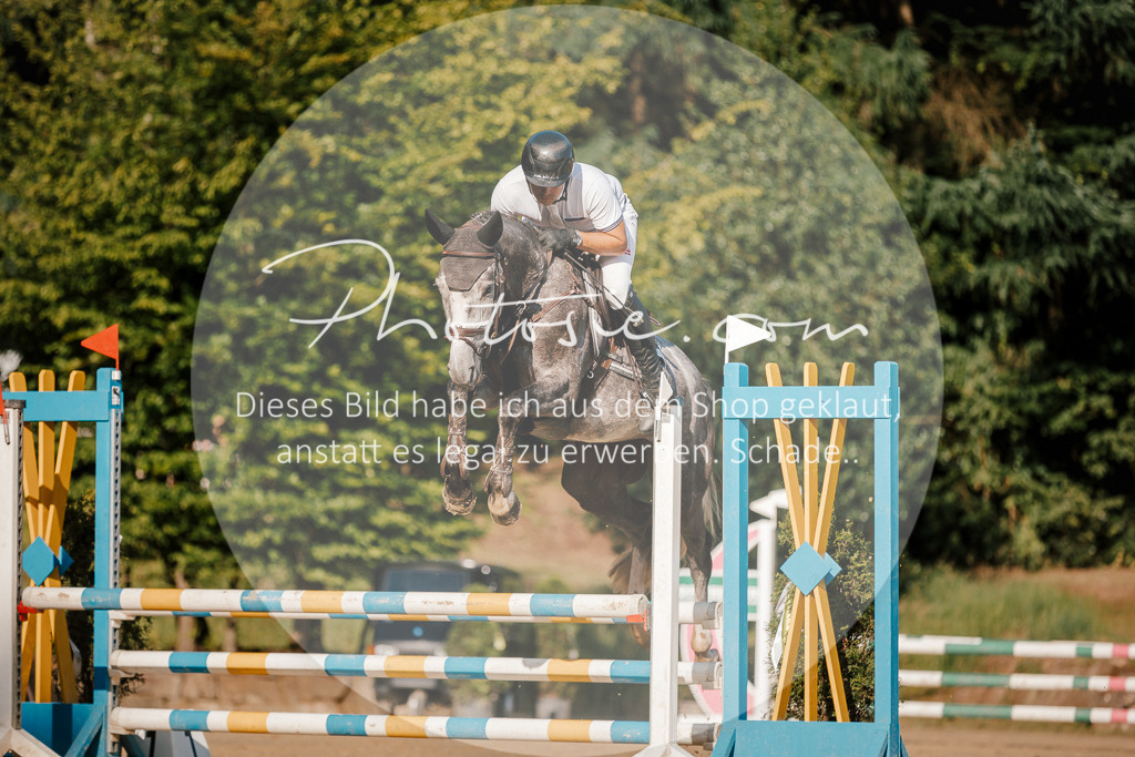 3I6A6288 | Stimmungsvolle Portraits und Reitsportfotografie im Ruhrgebiet und im Münsterland.

Pferdefotografie, Hundefotografie, Tierfotografie, Reportagen, Portraits von Tier und Mensch, Turnierfotografie in Bochum, Recklinghausen, Marl, Haltern am See, Dülmen.. - Realisiert mit Pictrs.com