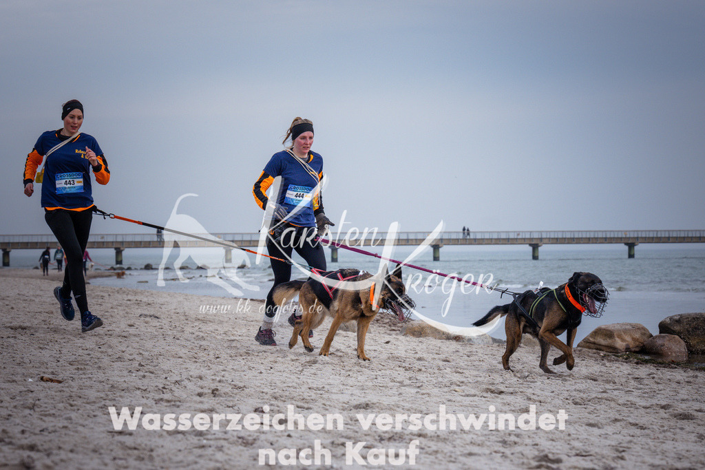 1258_ZZ97413 | kk-dogfotos