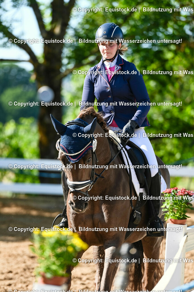 20230715_06_Dressurpferdeprfg. Kl.A_0146 | equistock