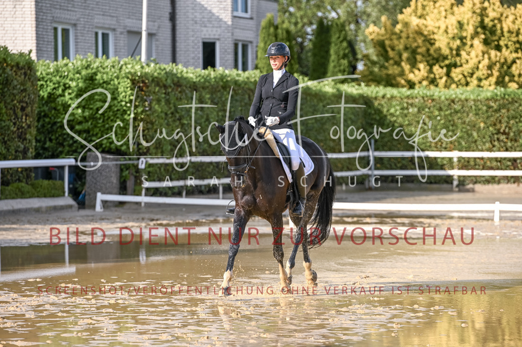 Schugtsche-Aluta25-54.Dressurprf.L1Trense-193 | Schugtsche Fotografie - Realisiert mit Pictrs.com