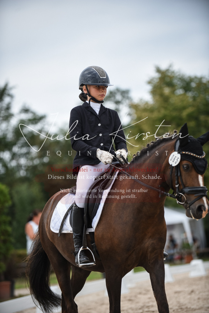 DSC_8136 | Pferde- und Turnierfotografie in Westsachsen. Pferdeportraits, Auftragszeichnungen und intuitive Kunst.