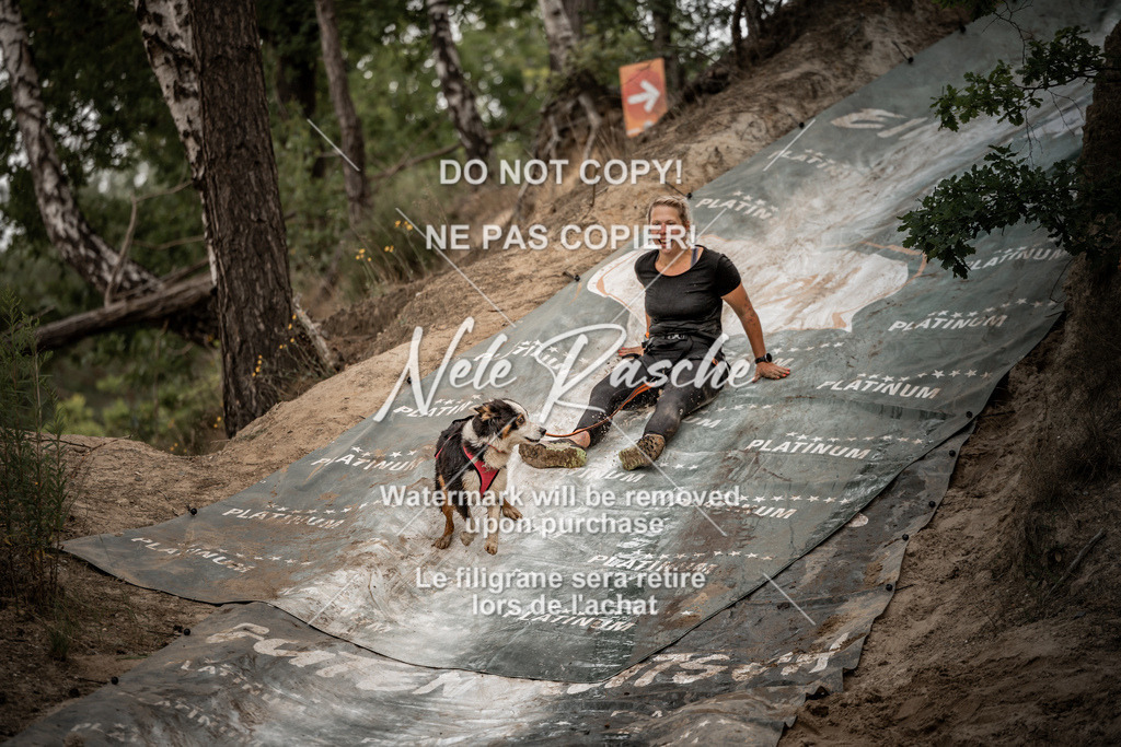 nelerasche_sa0800-1000_224 | nelerasche