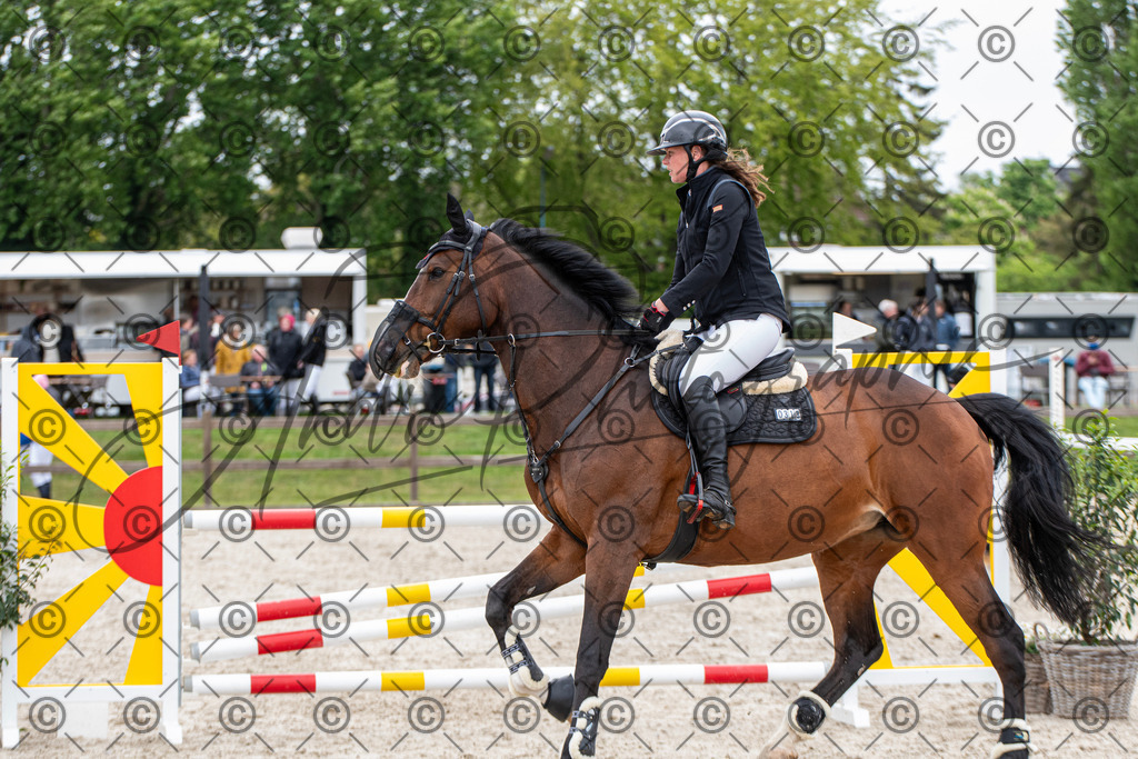 KPT_8649 | andre_photographic