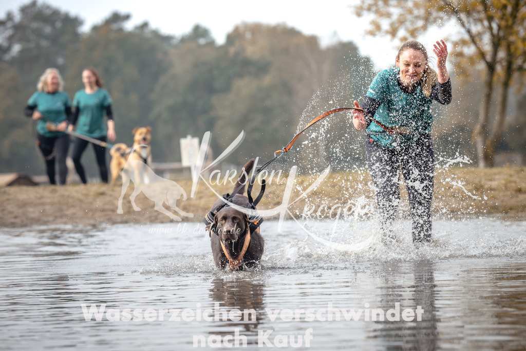 1119_ZZ93986 | kk-dogfotos