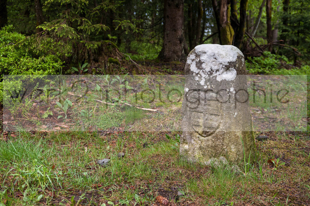 Rennsteiglauf 2017 | Neuhaus/Rwg. - Schmiedefeld am 19. Mai 2017