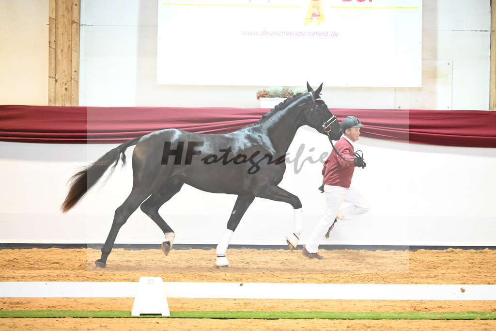 Kat-Nr. 65 v. De Niro Gold_Rohrmoser_66222252 | hf-fotografie - Realisiert mit Pictrs.com