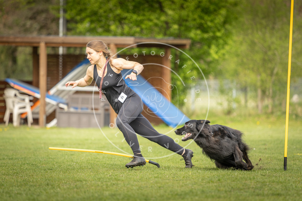 Pfotenfotografie_DV3A5051 | Hundefotografie, Tierfotograf, Pfotenfotografie, Fotoshooting Hund, Hunde Portrait, Hundesport, Hundeportraits, Heideshooting, Hunde, Sportfotograf, Hundefotograf, Turnierhundsport, THS,  - Realisiert mit Pictrs.com
