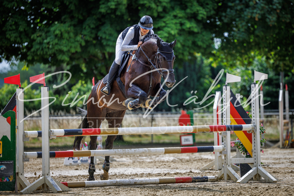 20260705-_3LI4414 | Tierfotografie Pferde, Hunde, Katzen, Haustiere.
Turnierfotografie Reitturniere, Reiten, Springreiten, Dressur in Hanau, dem Main-Kinzig-Kreis und dem Rhein-Main- Gebiet um Frankfurt
