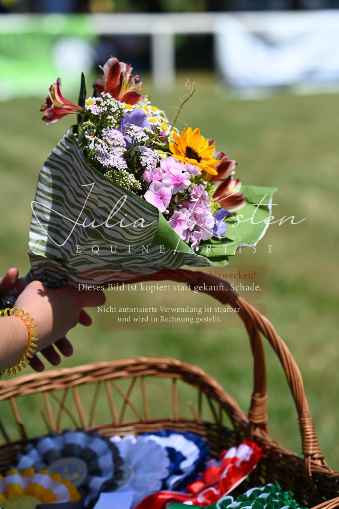 DSC_9916 | Pferde- und Turnierfotografie in Westsachsen. Pferdeportraits, Auftragszeichnungen und intuitive Kunst.
