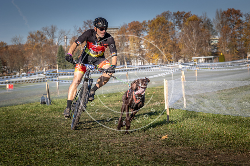 CaniXpix_0L8A5453 | Hundefotografie, Tierfotograf, Pfotenfotografie, Fotoshooting Hund, Hunde Portrait, Hundesport, Hundeportraits, Heideshooting, Hunde, Sportfotograf, Hundefotograf, Turnierhundsport, THS,  - Realisiert mit Pictrs.com