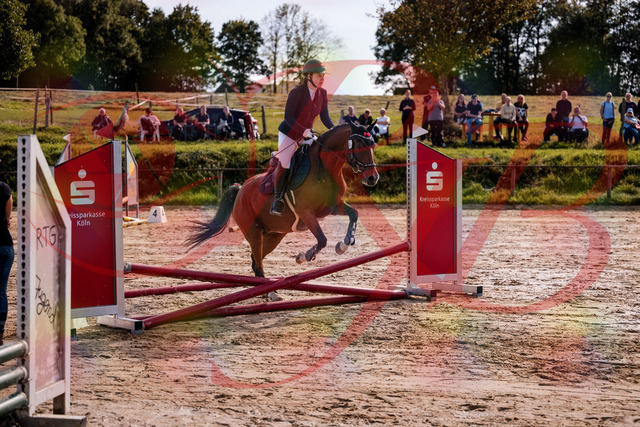 2026_10_03_Siefer-Hof_145651_Z81_37985875 | Professionelle Reitsport-, Turnier- und Eventfotografie von Robert Broda. Galerien mit ausgewählten und bearbeiteten Bildern direkt online ansehen und bestellen.