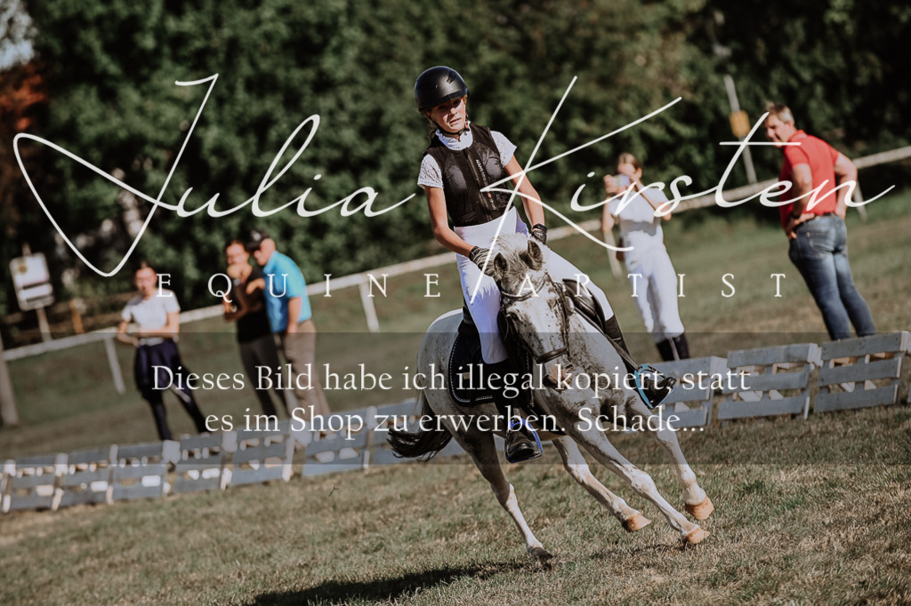 DSC_9431 | Pferde- und Turnierfotografie in Westsachsen. Pferdeportraits, Auftragszeichnungen und intuitive Kunst.