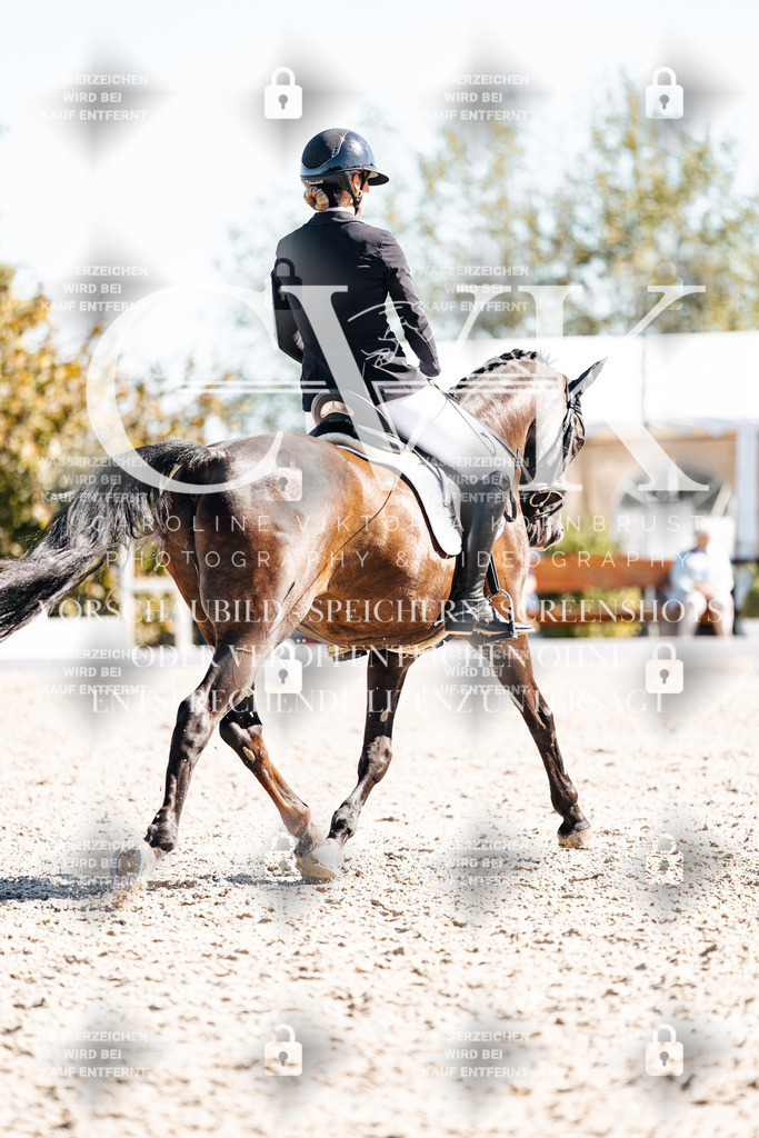 CK909063 | Turnierfotografie Pferdefotografie Trier Rheinland-Pfalz Pferdesport Reitsport Tierfotografie Sportfotografie Pferdevideo Pferdevideografie Equestrianvideography equestrianphotography  - Realisiert mit Pictrs.com