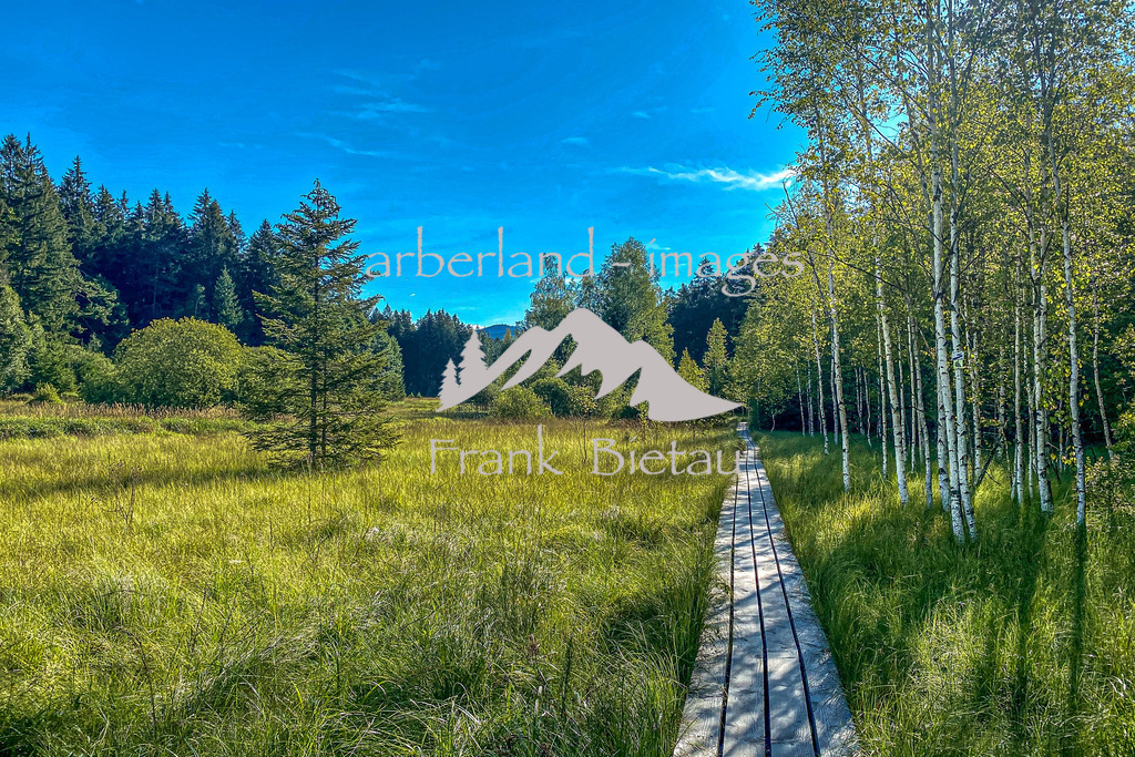 IMG_3455 | die Hochmoorlandschaft im Nationalpark ist großteils nur über Holzbohlenstege zu erkunden.