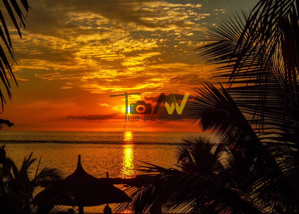 Ein grandioser Sonnenuntergang auf Mauritius-Feuerroter Himmel | Das Bild zeigt einen malerischen Sonnenuntergang über dem Meer, in Mauritius. Der Himmel ist in warmen Gelb-, Orange- und Rottönen gehalten, mit einigen Wolken.Die Sonne spiegelt sich als goldene Spur auf dem Wasser.Im Vordergrund sind die Silhouetten von Palmenblättern und einem Sonnenschirm oder einer Hütte zu sehen.Die Szene strahlt eine entspannte und ruhige Atmosphäre aus, typisch für einen Urlaubsort. - Realisiert mit Pictrs.com