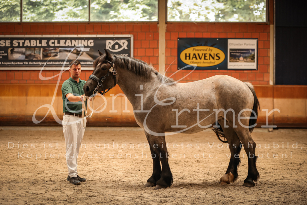 SaFL00331 | Leoni Ertmer Photography - Realisiert mit Pictrs.com