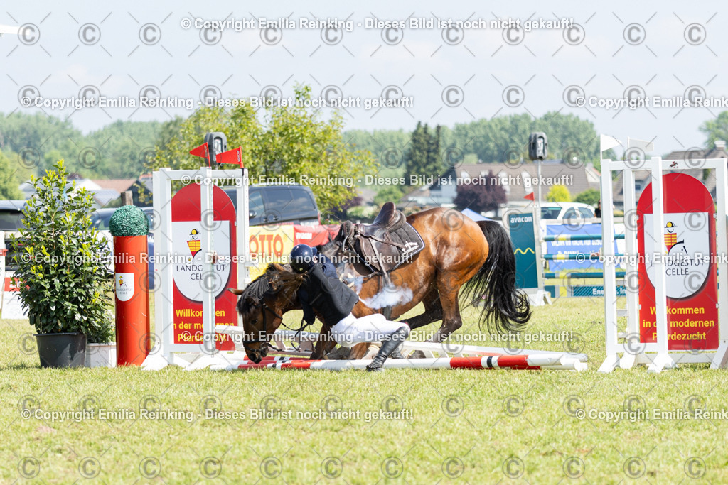 CL5A3406 | Emilia Reinking Fotografie - Realisiert mit Pictrs.com