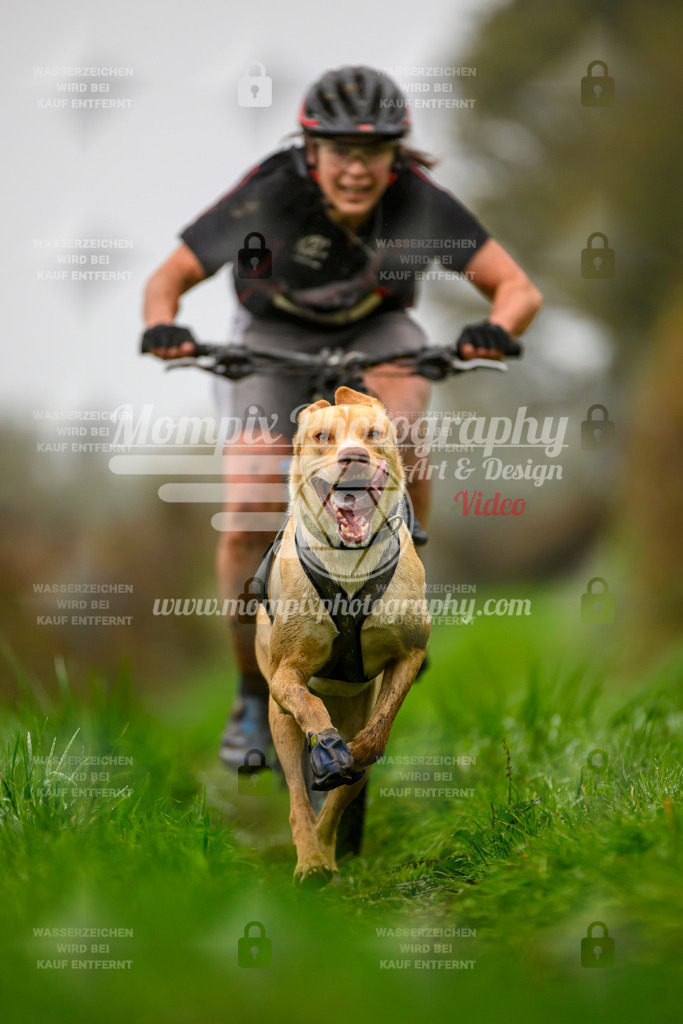 MompixPhotography_20TSB_E8_Bike-89 | PayLife