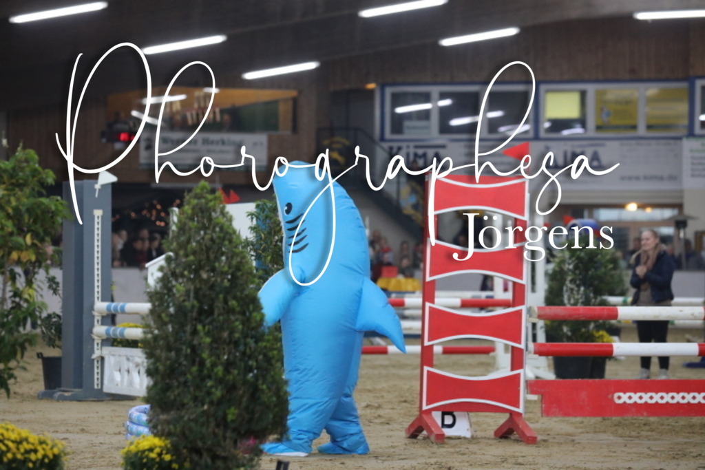 IMG_1884 | photographesa-joergens - Realisiert mit Pictrs.com