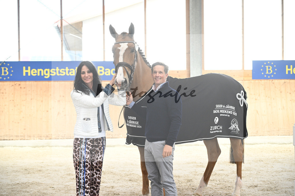 Kat-Nr. 52 Amir VT Z v. Aganix du Seigneur_Neukirch_5251904 | hf-fotografie - Realisiert mit Pictrs.com