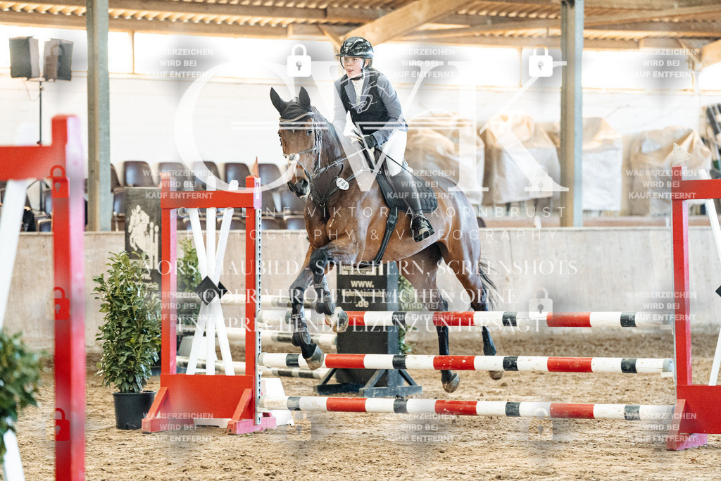 CK904652 | Turnierfotografie Pferdefotografie Trier Rheinland-Pfalz Pferdesport Reitsport Tierfotografie Sportfotografie Pferdevideo Pferdevideografie Equestrianvideography equestrianphotography  - Realisiert mit Pictrs.com