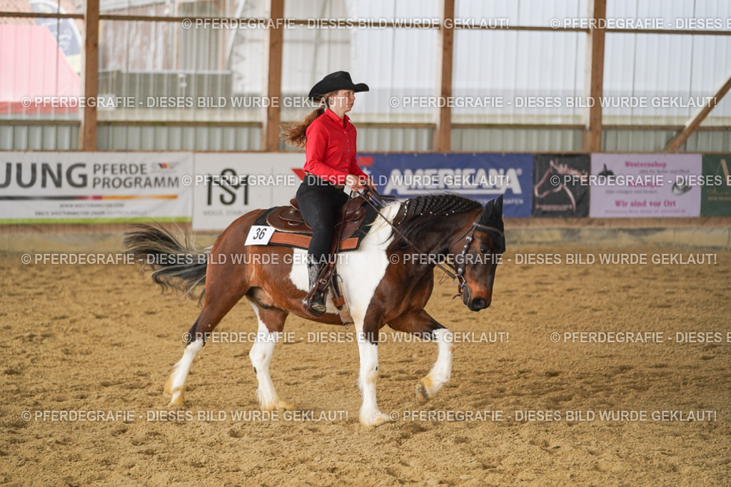 DSC04221 | Pferdegrafie