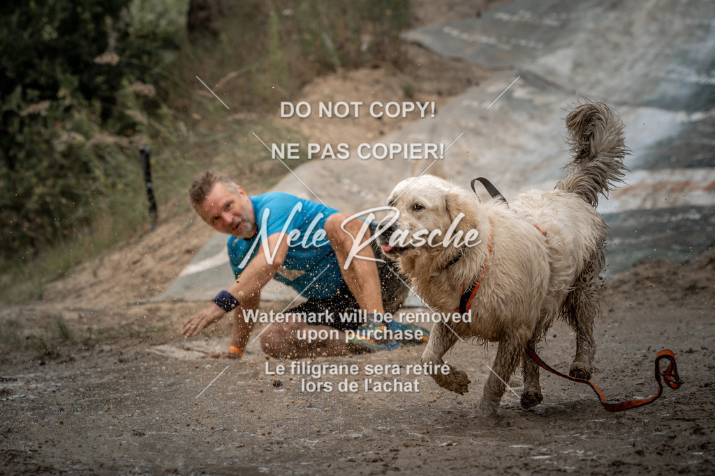 nelerasche_sa1430-1500_239 | nelerasche