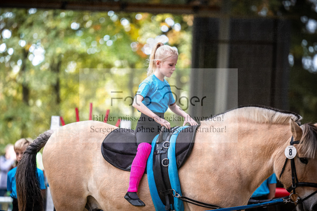 DOS_0093 | Entdecke hochwertige Reitturnierfotos von Foto Oger. Professionell, emotional und authentisch – jetzt Lieblingsmomente im Shop bestellen.Deutschlandweite Turnierfotografie. - Realisiert mit Pictrs.com