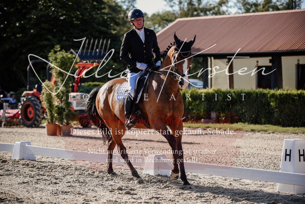 DSC_0618 | Pferde- und Turnierfotografie in Westsachsen. Pferdeportraits, Auftragszeichnungen und intuitive Kunst.