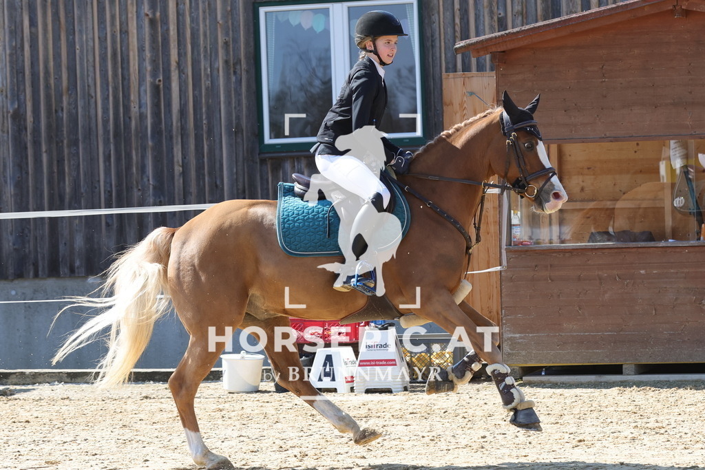0P6A6609 | Willkommen bei Brunnmayr - Design & Fotografie – Ihrem Spezialisten für Reitturniere und Pferdeveranstaltungen in Oberösterreich, Salzburg und Bayern! Seit über 17 Jahren sind wir leidenschaftlich dabei.